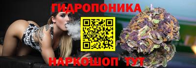скорость Будённовск