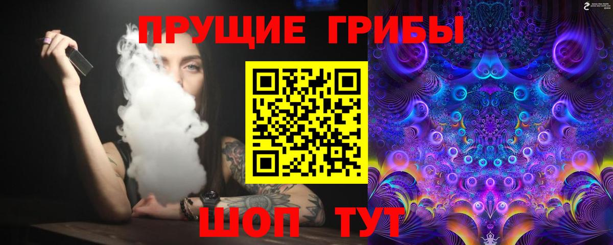 Псилоцибиновые грибы MAGIC MUSHROOMS  Вход с VPN  хочу наркоту  Глазов 